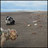 Allonby Beach