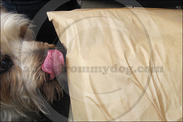 What is in the brown bag mum?