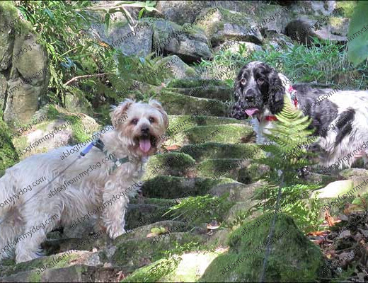 Buster and Charlie at Giggle Alley