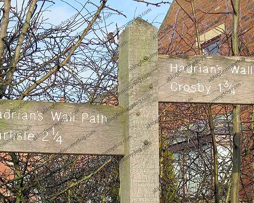 This way or that?