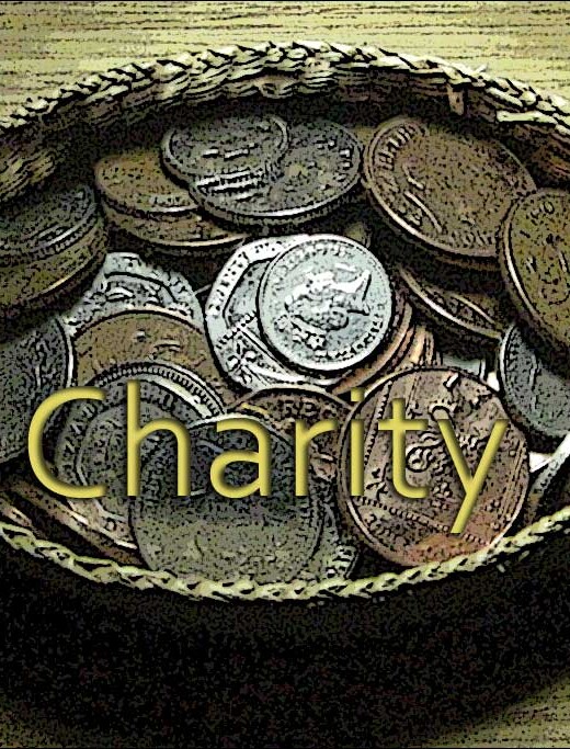 Help an animal charity