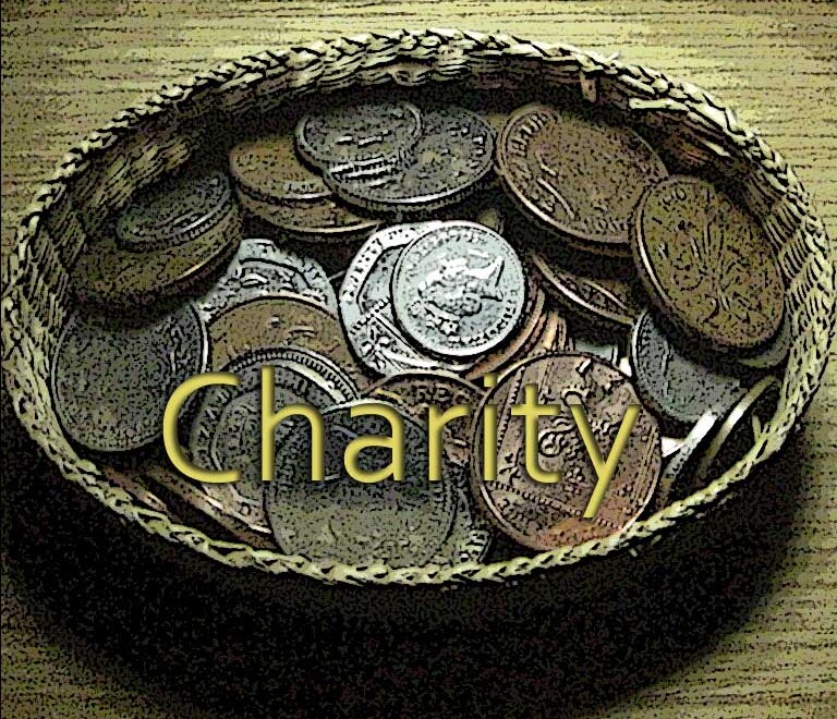 Help an animal charity
