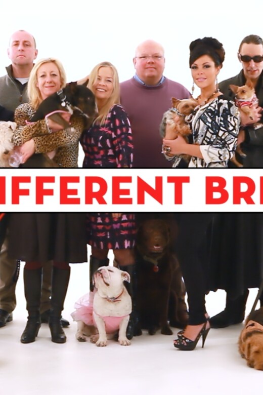 A Different Breed from Sky 1 HD