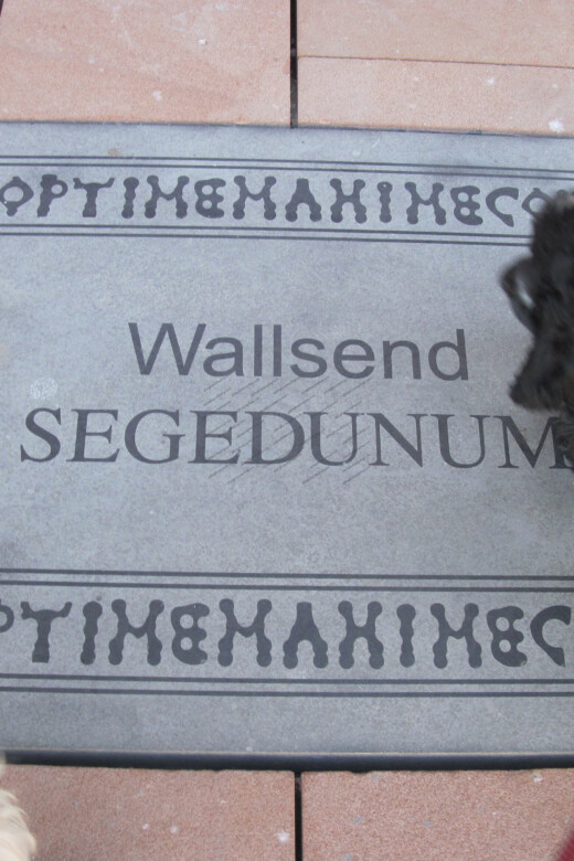 Paving stones with writing on them