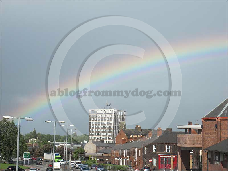 Rainbow curves above the Carlisle skyline