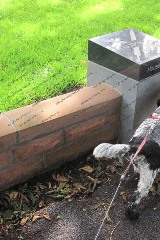 Charlie inspects one of the new art works