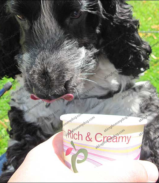Lickers at the ready!