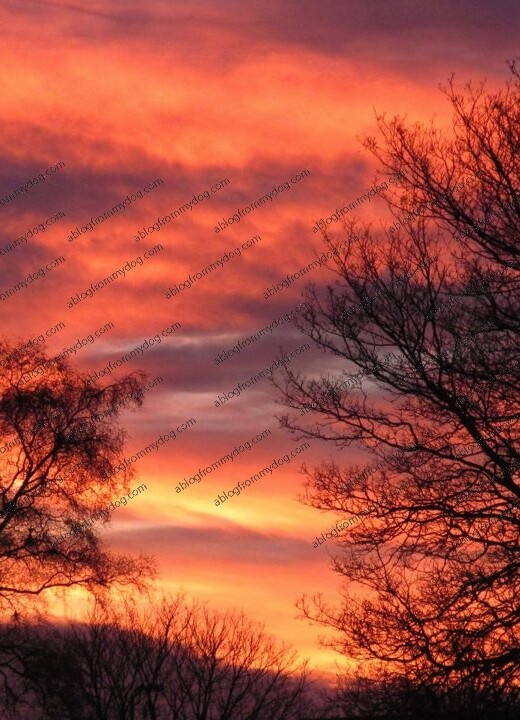 Red sunrise over Carlisle this morning