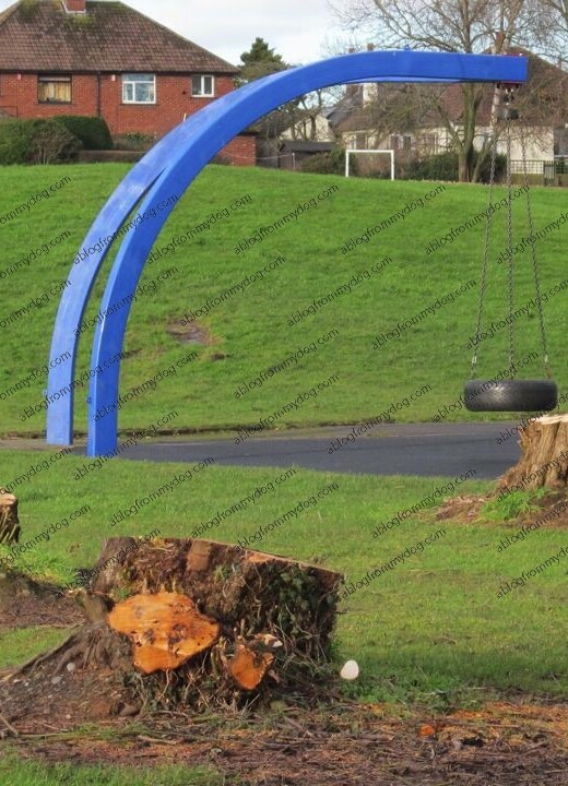 Trees cut in park near play area. Newtown Road, Carlisle