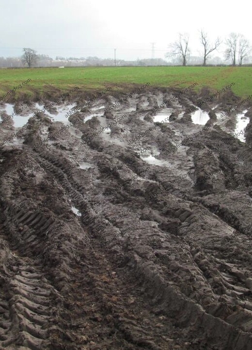 A lot of mud in this field