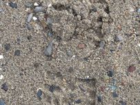 Footprints in the gritty sand on Holy Island