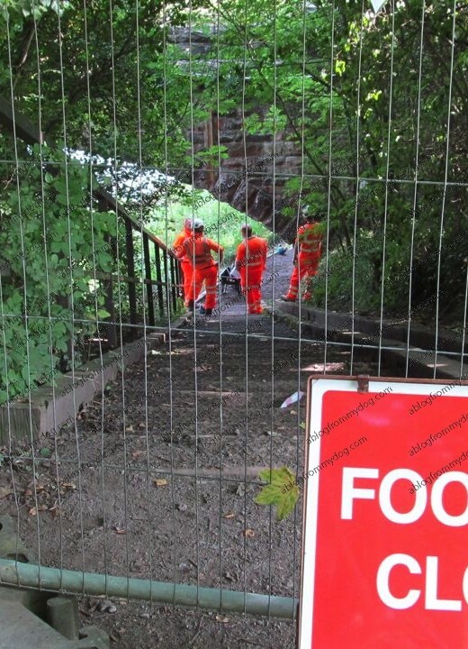 Waverley Viaduct path closure