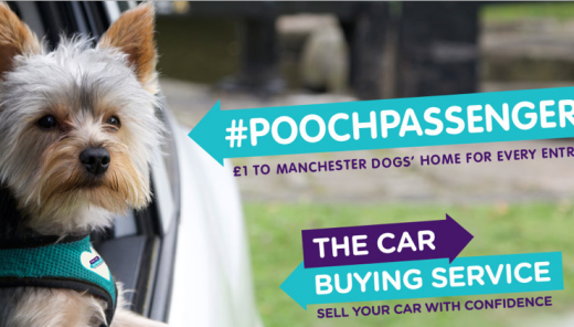 Car Buying Service Poochpassenger competition