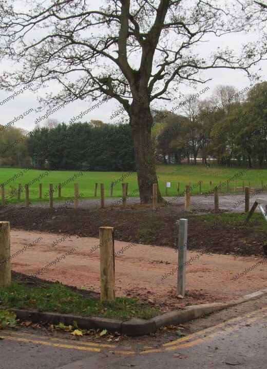 New access ramp installed in Bitts Park