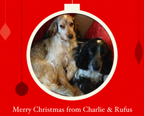 Merry Christmas from Charlie and Rufus