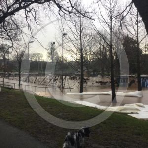 Where once stood a tennis dome, a plastic ice rink and a number of tennis courts in Carlisle