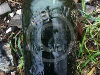 Green, clear and brown bottles are strewn all over the location to the north of the city