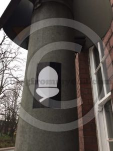 Follow the acorns through the streets of Carlisle